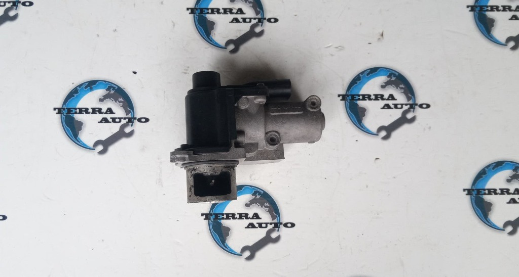 EGR VW Passat B6 2.0 TDI 103 KW 140 CP cod motor BMP