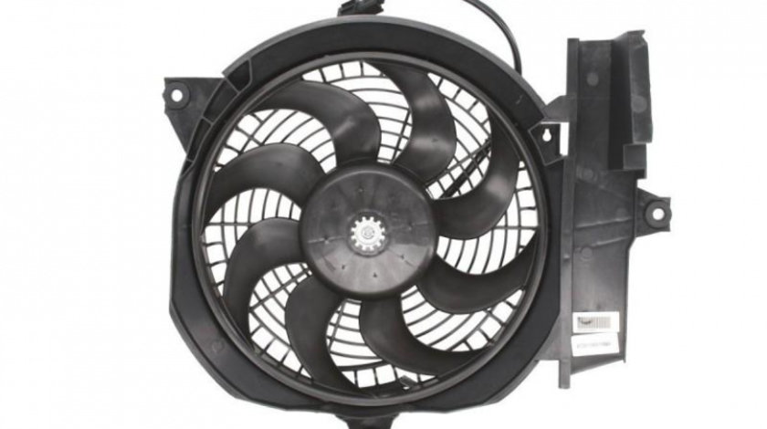 Electroventilator Hyundai SANTA FE I (SM) 2000-2006 #2 05280719