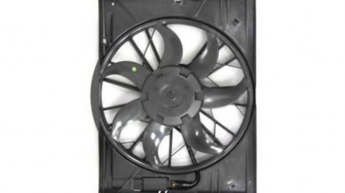 Electroventilator Mercedes CLS (C219) 2004-2011 #2 05062003