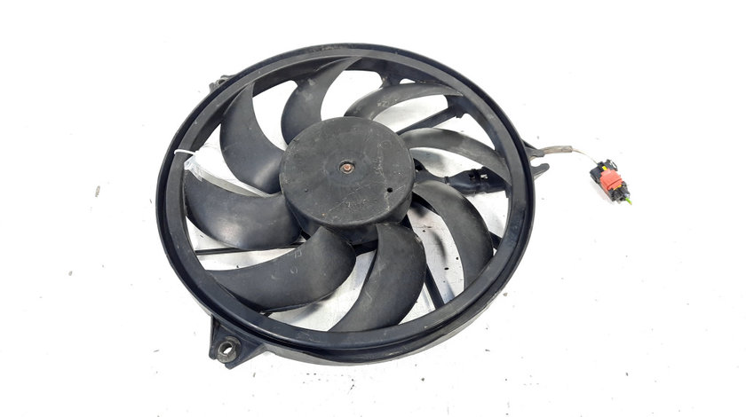 Electroventilator, Peugeot 206, 1.4 HDI, 8HZ (id:529421)