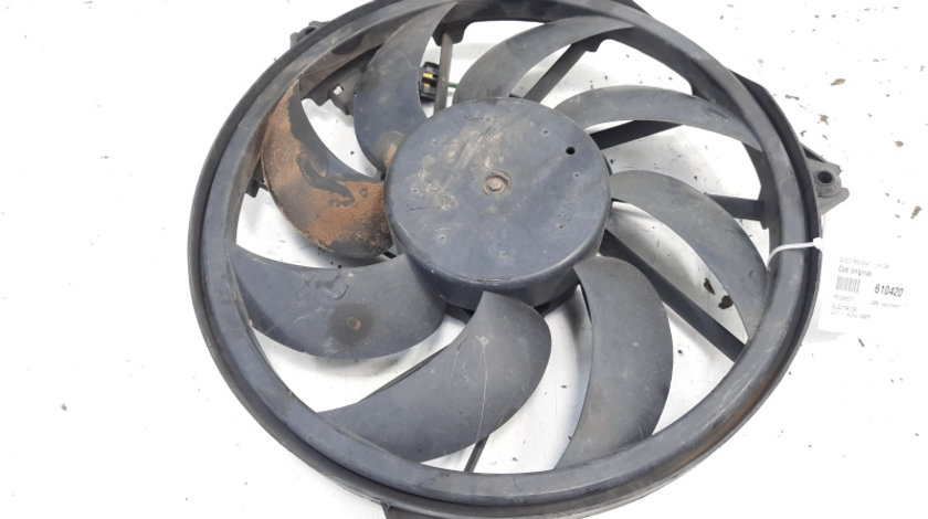 Electroventilator, Peugeot 206, 1.9 diesel, WJY (id:610420)