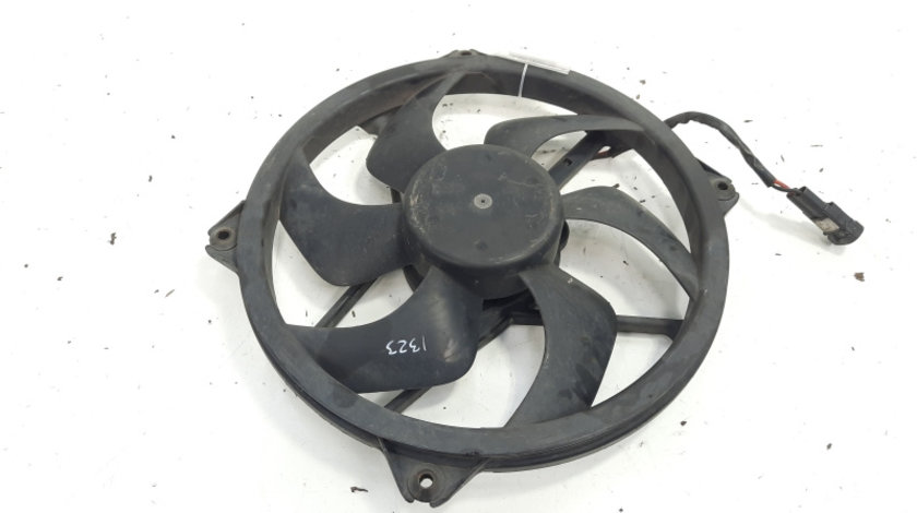 Electroventilator, Peugeot 206 Sedan, 1.6 HDI, 9HZ (idi:596421)