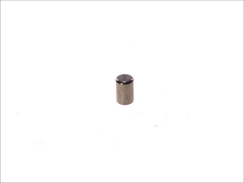 Element blocare sincron hub cu role cilindrice (x4) SCANIA