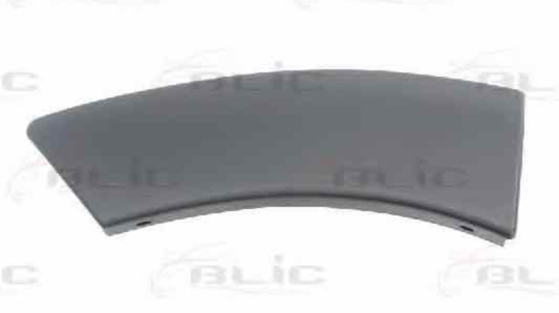 Elemente decorative/protectie aripa DACIA DUSTER Producator BLIC 5703-04-1305598P