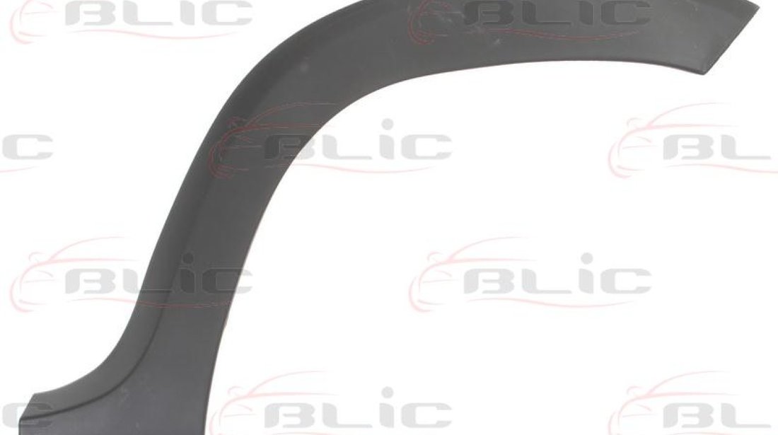 Elemente decorative/protectie aripa DACIA DUSTER Producator BLIC 5703-04-1305595P