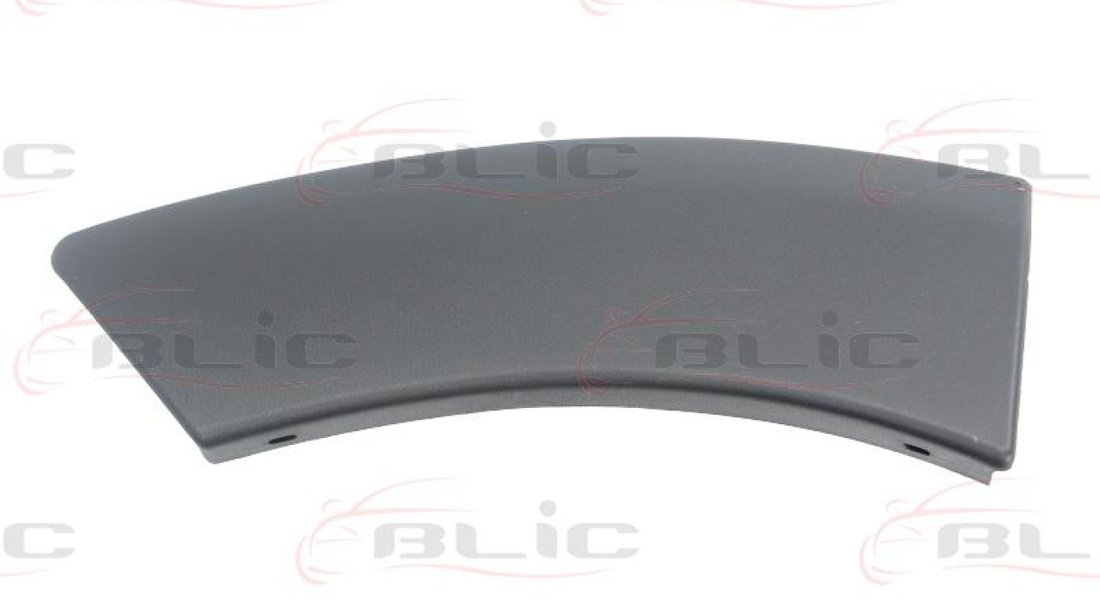 Elemente decorative/protectie aripa DACIA DUSTER Producator BLIC 5703-04-1305598P