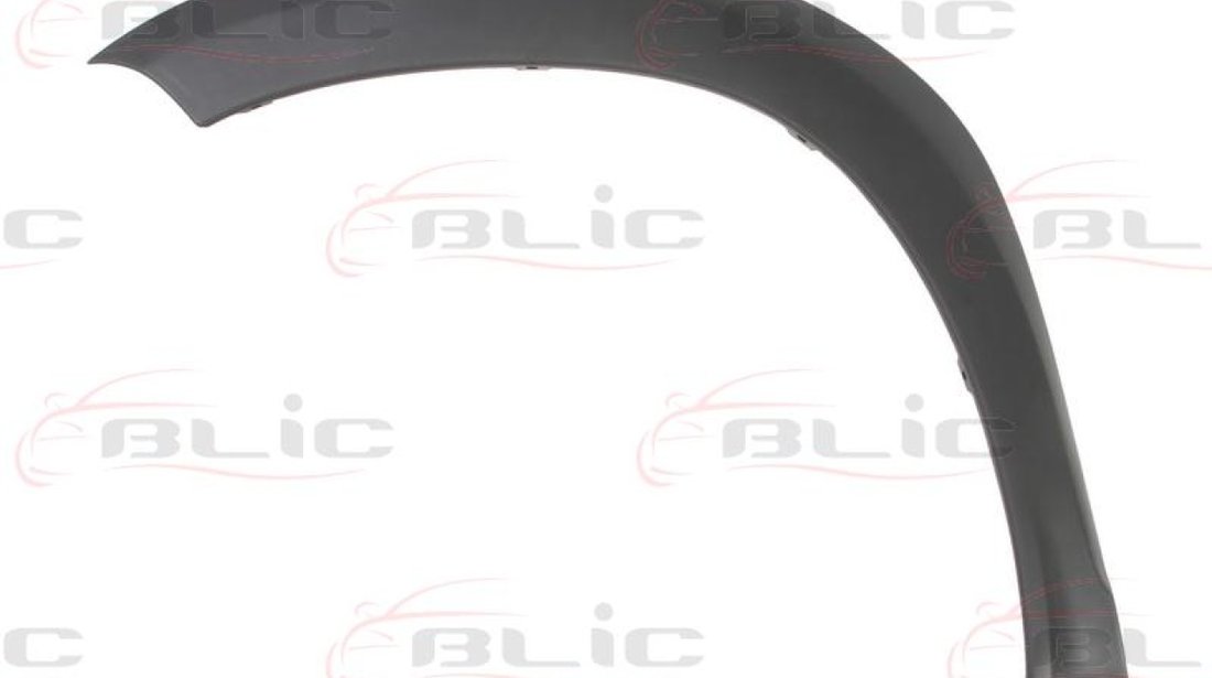 Elemente decorative/protectie aripa DACIA DUSTER Producator BLIC 5703-08-1305377P