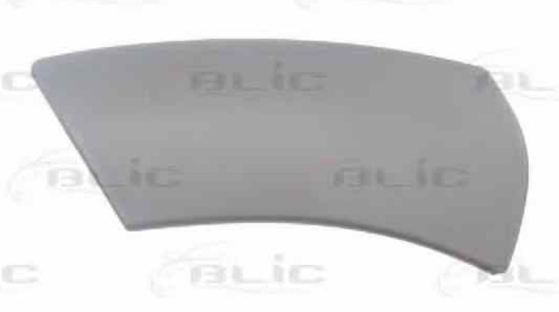 Elemente decorative/protectie aripa DACIA DUSTER Producator BLIC 5703-08-1305375P