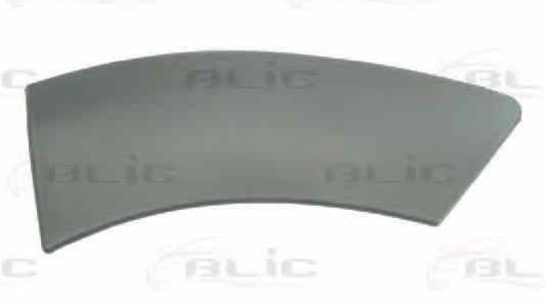 Elemente decorative/protectie aripa DACIA DUSTER Producator BLIC 5703-04-1305597P