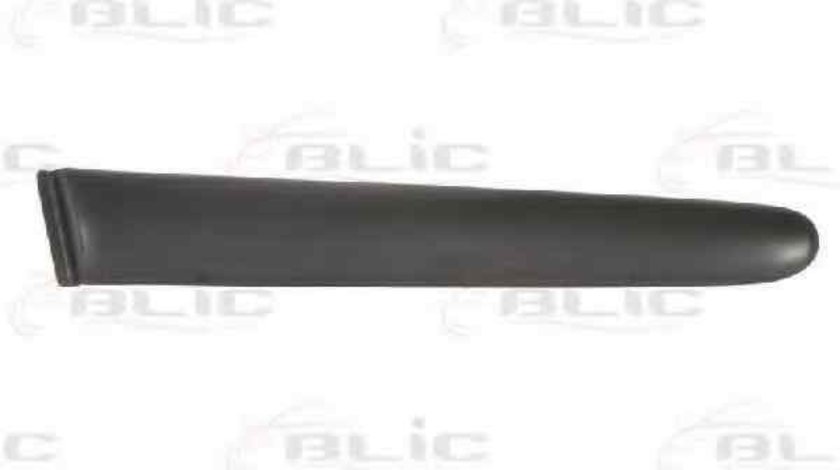 Elemente decorative/protectie, aripa PEUGEOT 206 hatchback (2A/C) BLIC 5703-04-5507473P