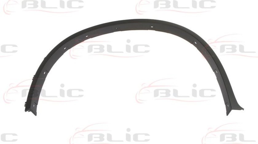 Elemente decorative/protectie aripa Producator BLIC 5703-04-0099421P