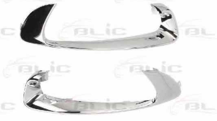 Elemente decorative/protectie bara protectie RENAULT SCÉNIC III JZ0/1 Producator BLIC 5510-00-6046997P
