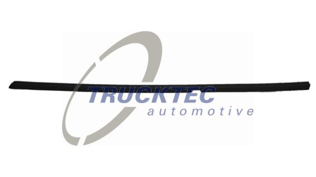 Elemente decorative/protectie, geamuri portiera exterior (0254019 TRUCKTEC) MERCEDES-BENZ