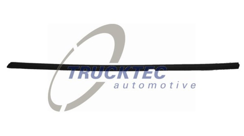 Elemente decorative/protectie, geamuri portiera exterior (0254019 TRUCKTEC) MERCEDES-BENZ