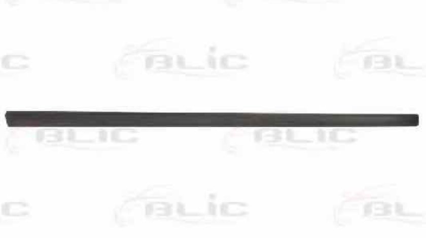 Elemente decorative/protectie, portiera AUDI A4 Avant (8ED, B7) BLIC 5703-04-0019572P