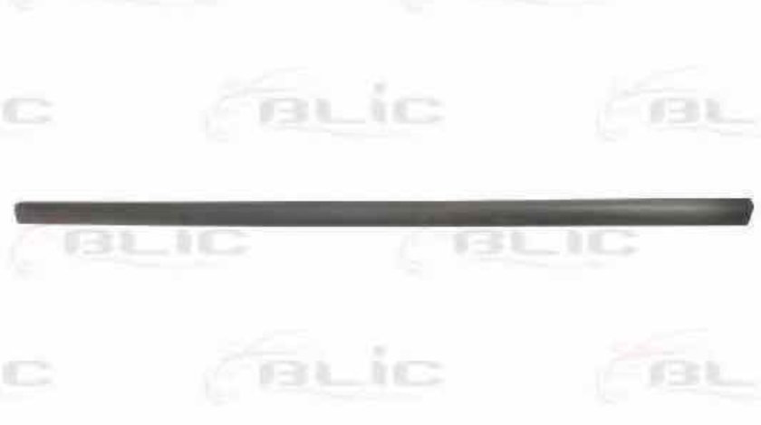Elemente decorative/protectie, portiera AUDI A4 Avant (8ED, B7) BLIC 5703-04-0019571P
