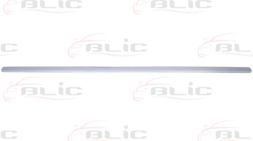 Elemente decorative/protectie portiera FORD MONDEO III sedan B4Y Producator BLIC 5703-04-9523576P