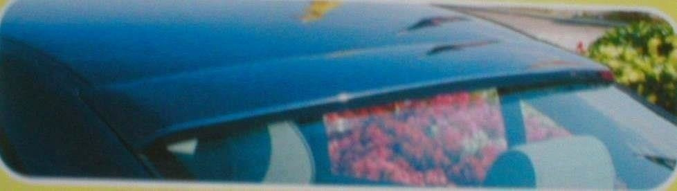 Eleron Luneta BMW 5 E39 BM-5-39-B1F