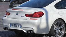 Eleron Portbagaj Hayon Capota Spate Bmw F13 Seria ...