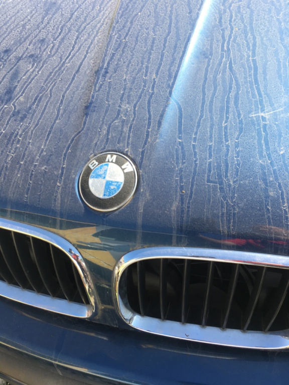Emblema capota motor BMW X5 E53 [1999 - 2003] Crossover 3.0 d AT (184 hp) M57 D30 (306D1)