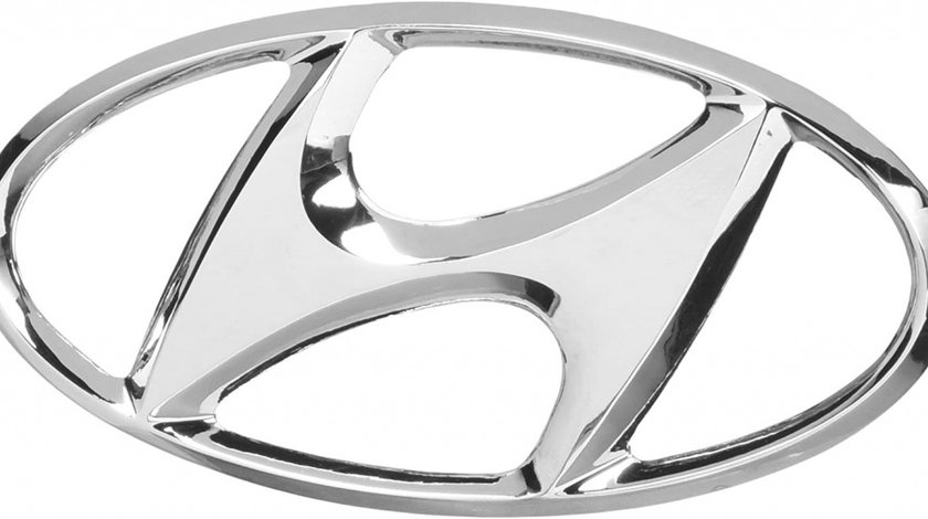 Emblema Spate Oe Hyundai 86300-25500