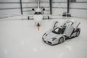 Enzo Ferrari de vanzare