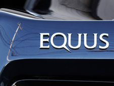 Equus Bass770