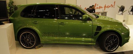 Essen Motor Show 2010 - Kermit... the Cayenne se alatura petrecerii! Essen Motor Show 2010 - Kermit... the Cayenne se alatura petrecerii!