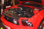 ESSEN MOTOR SHOW TUNING 2004 - setul 1 HI-RES