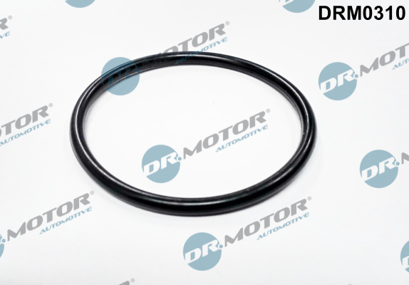 Etan?are, carcas? clapeta? (DRM0310 DRM) FORD