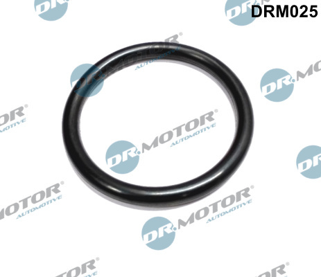 Etan?are, carcas? clapeta? Partea de admisie (DRM025 DRM) DACIA,RENAULT