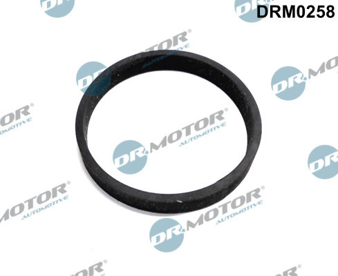 Etansare, intrare turbina (compresor) (DRM0258 DRM) FORD,VOLVO