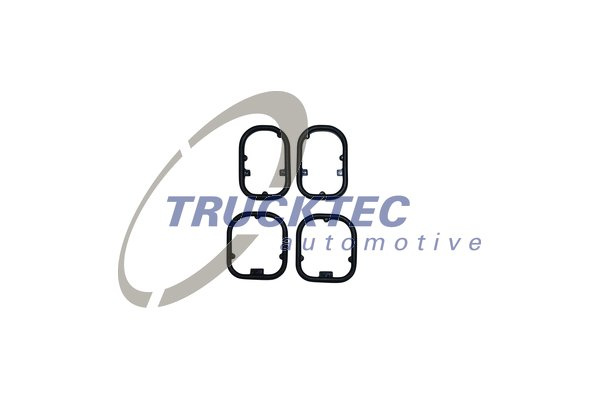 Etansare, racire ulei (0818024 TRU) BMW