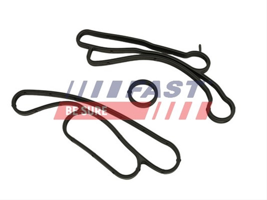 Etansare, Racire Ulei Fast Ford FT48938