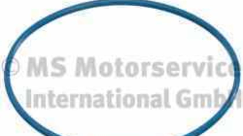 Etansare rezervor PEUGEOT 307 Break 3E Producator PIERBURG 3.32038.00.0