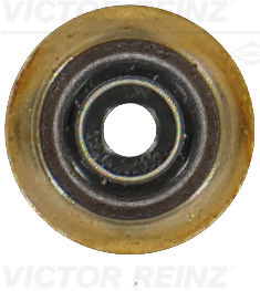 Etansare, supape (701925500 VICTOR REINZ) HYUNDAI,KIA