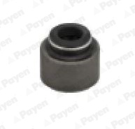 Etansare, supape Partea de evacuare (PA6116 PAYEN) MACK,RENAULT TRUCKS
