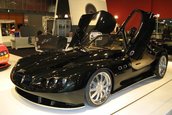 European Motor Show Brussels 2008