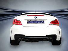 Evacuare Eisenmann pentru BMW Seria 1 M Coupe