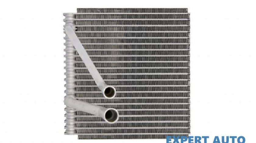 Evaporator,aer conditionat Ford FIESTA V (JH_, JD_) 2001-2010 #2 1014001017