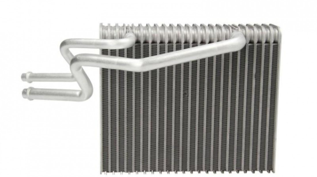 Evaporator,aer conditionat Renault CLIO II caroserie (SB0/1/2_) 1998-2016 #4 110771