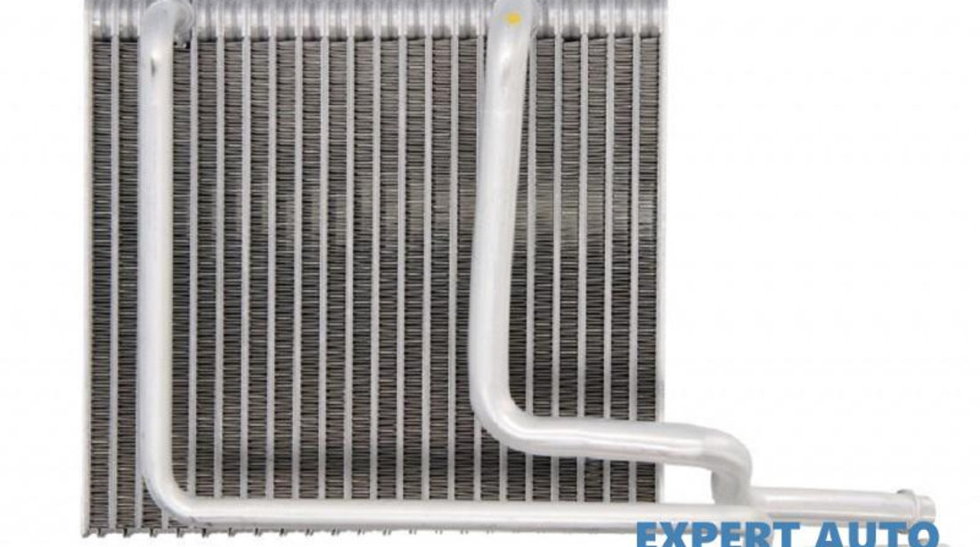 Evaporator,aer conditionat Renault MEGANE Scenic (JA0/1_) 1996-2001 #2 36151