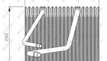 Evaporator,aer conditionat Renault MEGANE Scenic (...