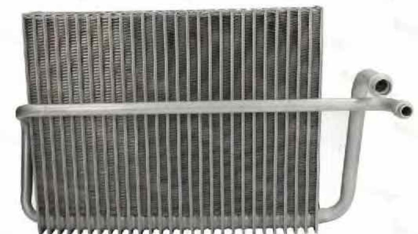 Evaporator / Vaporizator aer conditionat MERCEDES-BENZ S-CLASS W220 THERMOTEC KTT150012