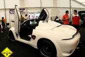 Expo