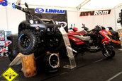 Expo