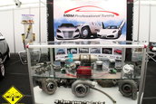 Expo