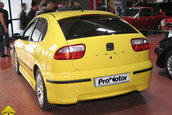 Expo