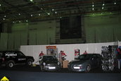 Expozanti