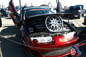 Extreme Auto Fest